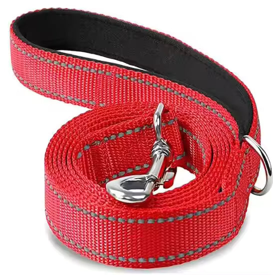 Laisse pour chien rouge