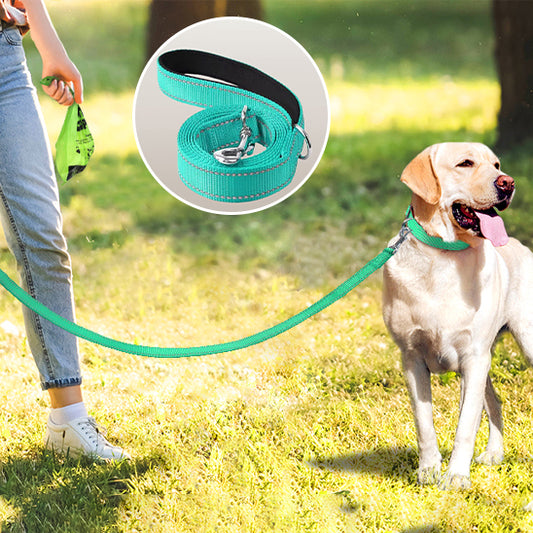 Laisse pour chien sur le gazon