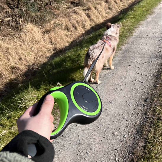 Laisse pour chien vert en sentier