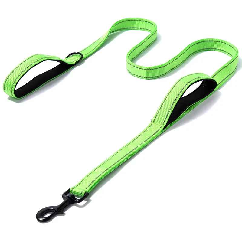 Laisse pour chien vert