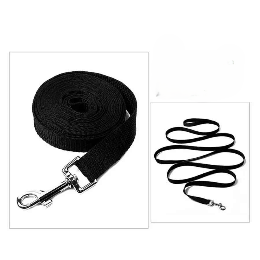 Longe pour chien demo rouler et derouler