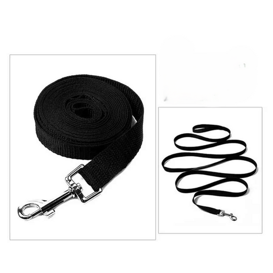 Longe pour chien demo rouler et derouler