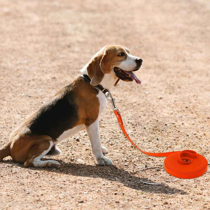 Longe pour chien en pvc en entrainement
