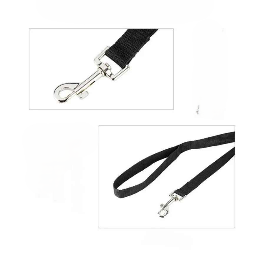 Longe pour chien mousqueton et poignee