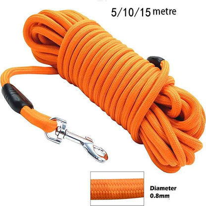 Longe pour chien pratique demonstration