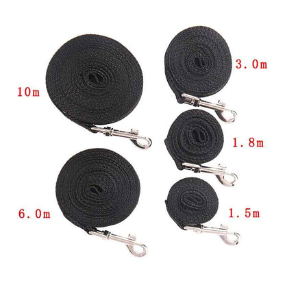 Longe pour chien rouler plusieur besoin