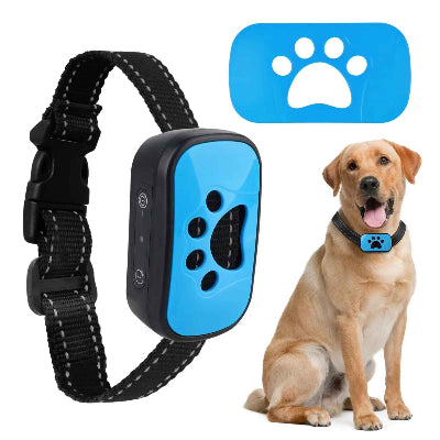 collier anti aboiement bleu