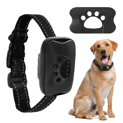 collier anti aboiement noir 2