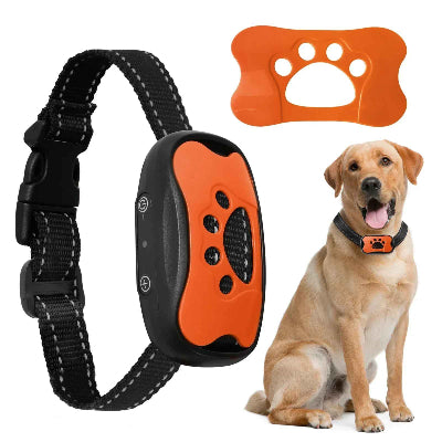 collier anti aboiement orange