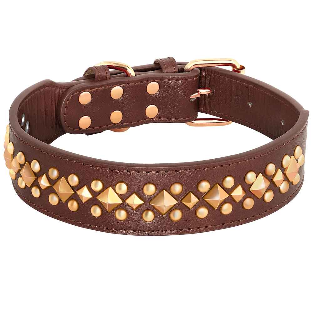 collier chien avec cloute rivet or couleur brun