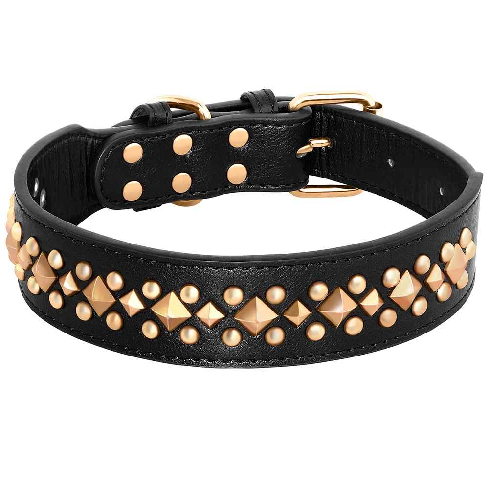 collier chien avec cloute rivet or couleur noir