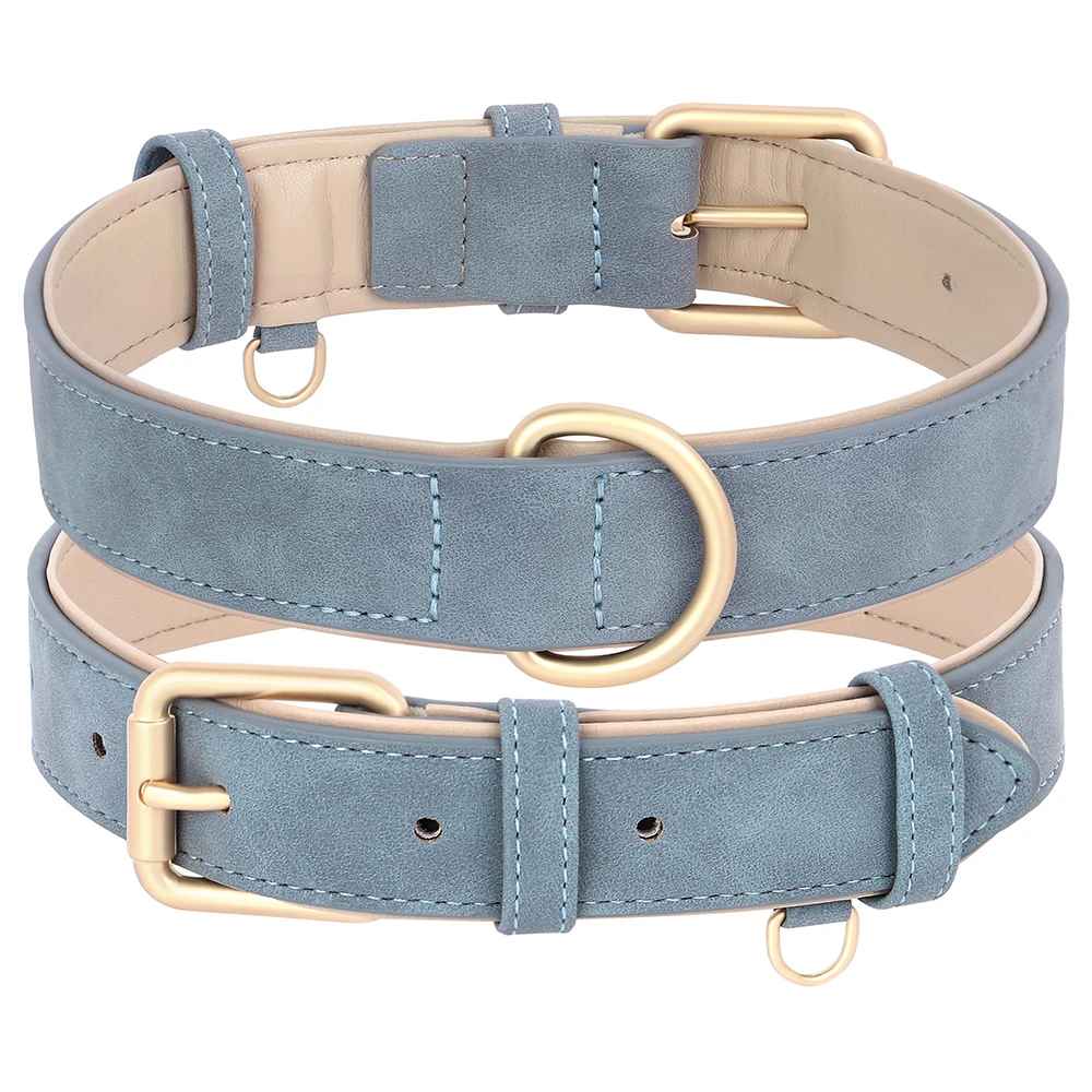 collier chien couleur bleu