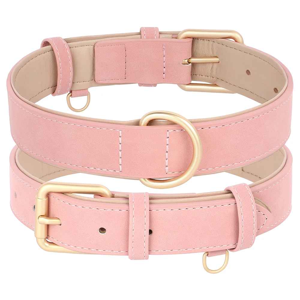 collier chien couleur rose