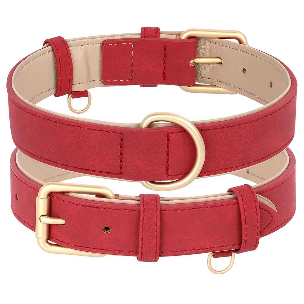 collier chien couleur rouge