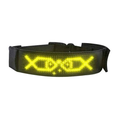 collier chien lumineux jaune