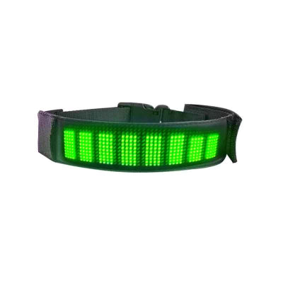 collier chien lumineux vert