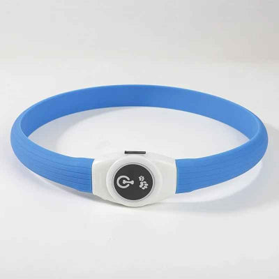 collier lumineux chien bleu