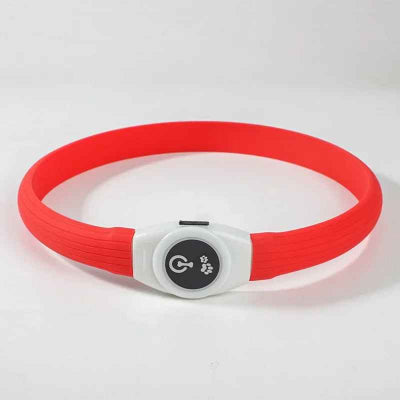collier lumineux chien rouge