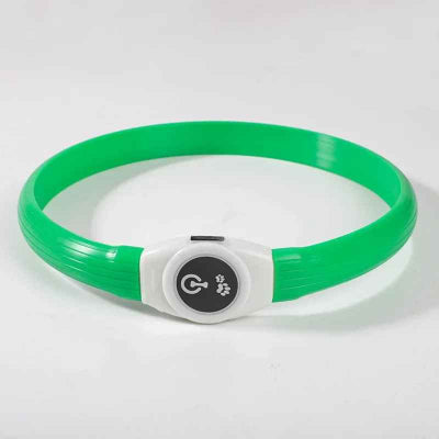 collier lumineux chien vert