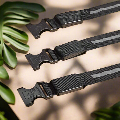 collier lumineux noir telechargement_7_e98e5c63-8193-4398-8a87-0c8a9c2531b6