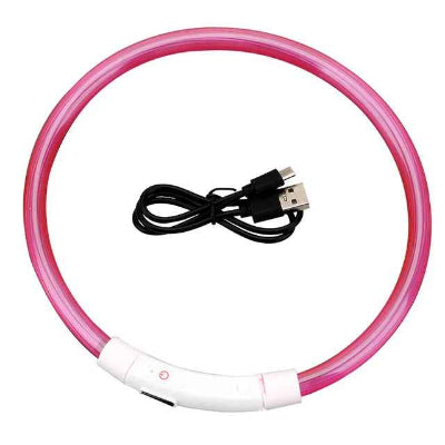 collier lumineux pour chien rose