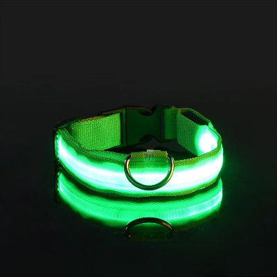 collier lumineux vert S9f0430756e714999819f1e50a4a15564S_1a99c654-db15-41a8-9b71-e57897e3cb79