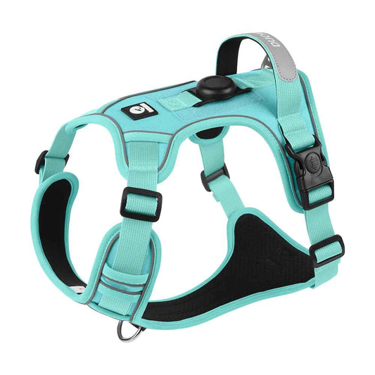 harnais chien anti traction bleu