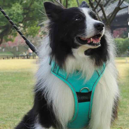 harnais chien anti traction mesure demo