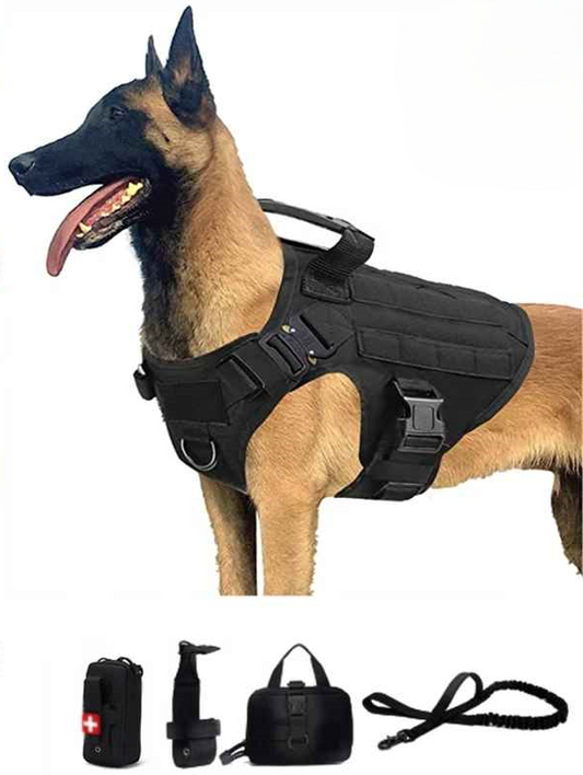 harnais chien berge allemand avec accessoires