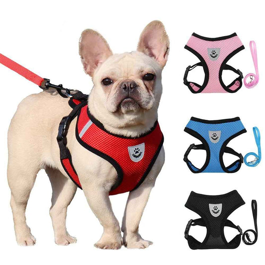 harnais chien de quatre couleur