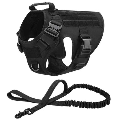 harnais chien noir 2 pieces