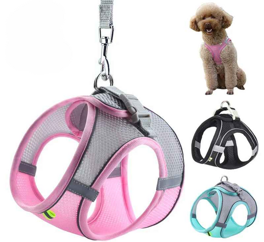 harnais chien pour vos promenades