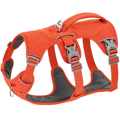 harnais pour chien orange