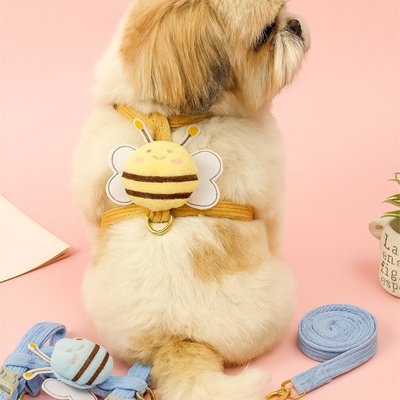 harnais pour chien shitsu au tapis