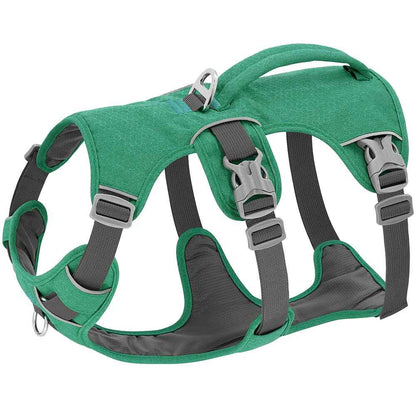 harnais pour chien vert