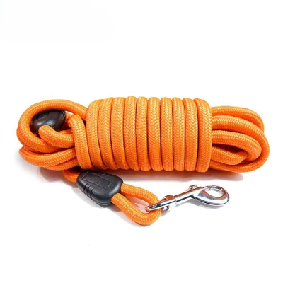 laisse longe pour chien couleur orange
