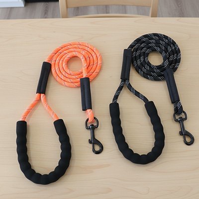 Laisse longe pour chien differentes