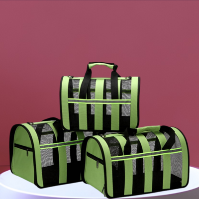 sac de transport vert 3_558414a0-cd05-488f-9133-622594dcf4e4